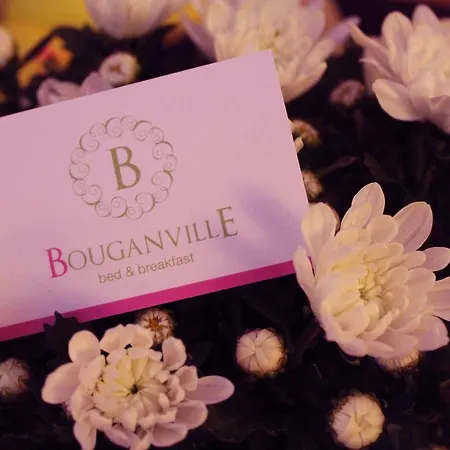 Bouganville *