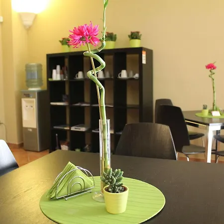Bed & Breakfast Bouganville